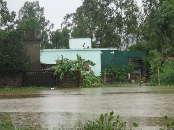Vietnam lanza programa a favor de familias afectadas por inundaciones ảnh 1