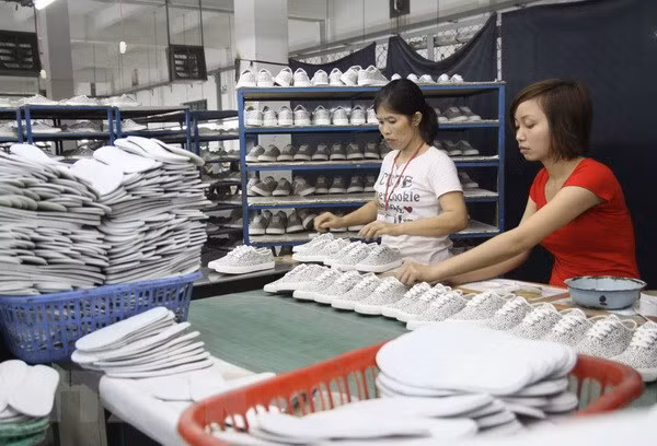 Analizan impactos de tratados comerciales a la industria textil de Vietnam ảnh 1