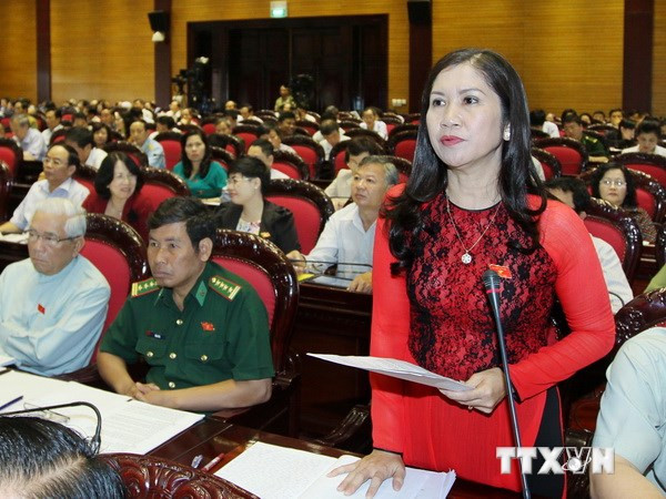 Provincia vietnamita de Dak Nong promocionará su fruta típica para ampliar el mercado ảnh 1