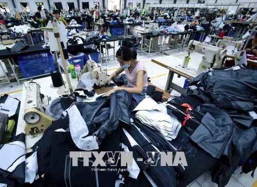 Vietnam y la India promueven cooperación en rama textil ảnh 1 Vietnam y la India promueven cooperación en rama textil ảnh 1