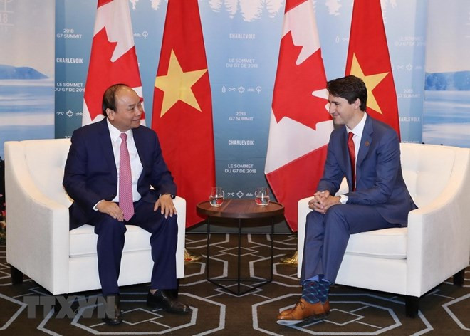 Abierto concurso de diseño de logotipo para destacar lazos Vietnam-Canadá ảnh 1 Abierto concurso de diseño de logotipo para destacar lazos Vietnam-Canadá ảnh 1