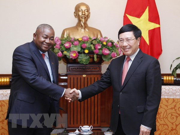 Vietnam concede importancia a lazos con Mozambique, afirma vicepremier ảnh 1 Vietnam concede importancia a lazos con Mozambique, afirma vicepremier ảnh 1