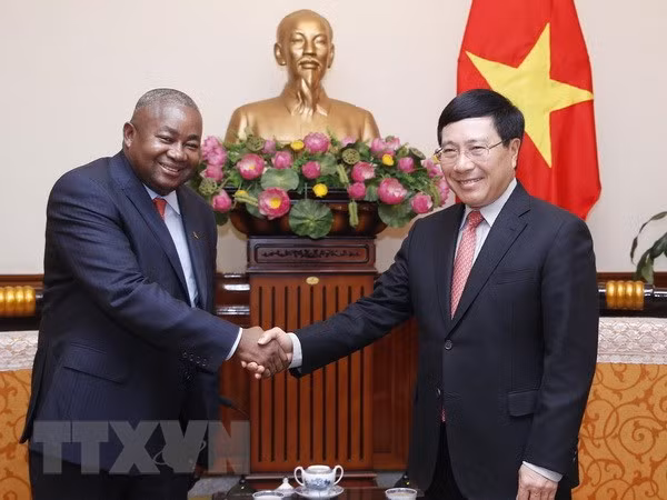 Vietnam concede importancia a lazos con Mozambique, afirma vicepremier ảnh 1
