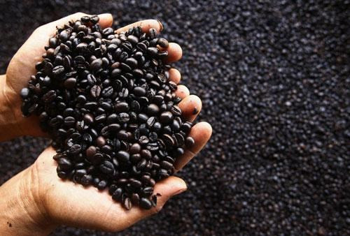 Nestlé inicia producción de tabletas de café comprimidas en Vietnam ảnh 1 Nestlé inicia producción de tabletas de café comprimidas en Vietnam ảnh 1