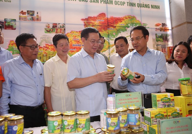 Vicepremier vietnamita pide más recursos para programa “Cada comuna, un producto” ảnh 1 Vicepremier vietnamita pide más recursos para programa “Cada comuna, un producto” ảnh 1