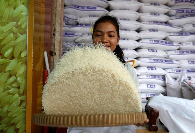 Exportaciones de arroz de Camboya se redujeron en primer semestre de 2018 ảnh 1 Exportaciones de arroz de Camboya se redujeron en primer semestre de 2018 ảnh 1