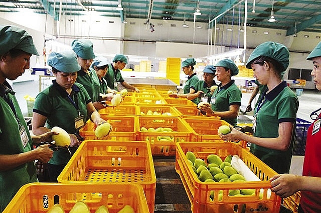 Nueva política de Corea del Sur dificulta a productos agrícolas vietnamitas ảnh 1 Nueva política de Corea del Sur dificulta a productos agrícolas vietnamitas ảnh 1