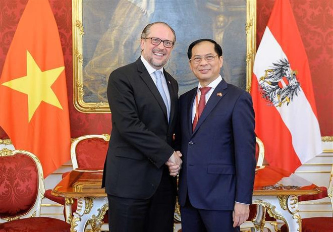 Canciller vietnamita se reúne con su homólogo austriaco ảnh 1 Canciller vietnamita se reúne con su homólogo austriaco ảnh 1