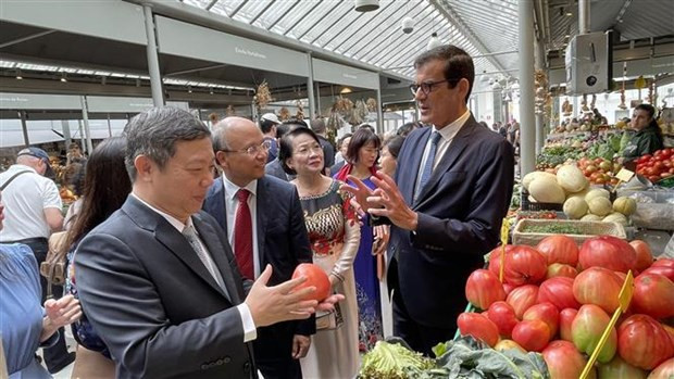 Ciudades vietnamita y portuguesa fomentan cooperación multisectorial ảnh 3 Ciudades vietnamita y portuguesa fomentan cooperación multisectorial ảnh 3