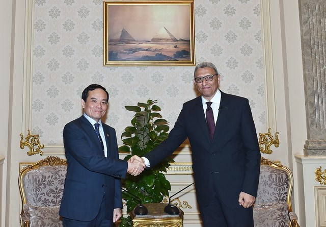 Vicepremier vietnamita se reúne con dirigentes parlamentarios de Egipto ảnh 2 Vicepremier vietnamita se reúne con dirigentes parlamentarios de Egipto ảnh 2