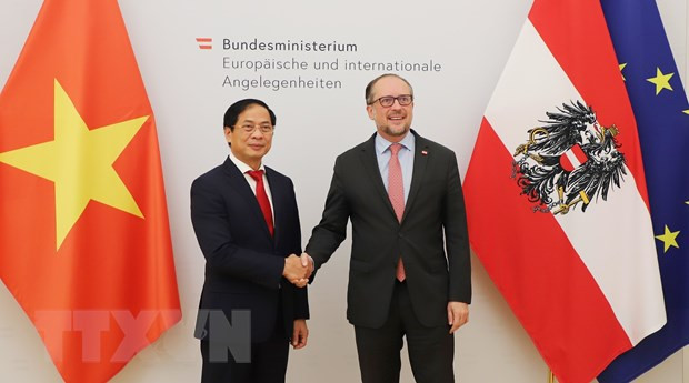 Visita de presidente vietnamita a Austria impulsa cooperación bilateral ảnh 1 Visita de presidente vietnamita a Austria impulsa cooperación bilateral ảnh 1