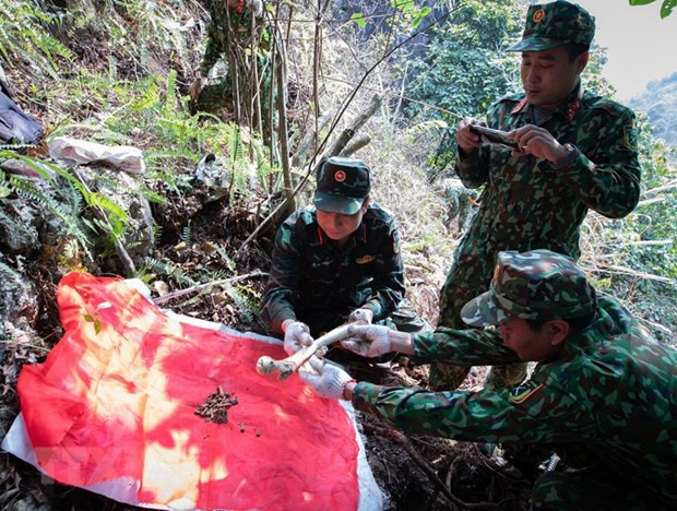 Búsqueda y recolección de restos de mártires: misión especial y sagrada ảnh 2 Búsqueda y recolección de restos de mártires: misión especial y sagrada ảnh 2