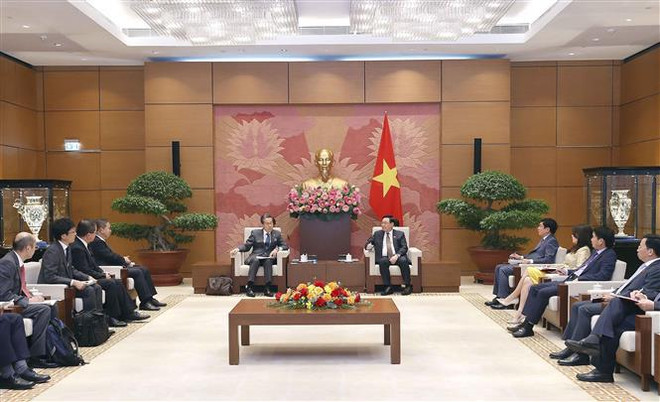Titular parlamentario vietnamita recibe a asesor especial del Gobierno de Japón ảnh 2