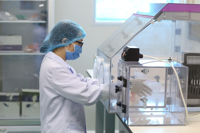 Búsqueda y recolección de restos de mártires: misión especial y sagrada ảnh 3 Búsqueda y recolección de restos de mártires: misión especial y sagrada ảnh 3