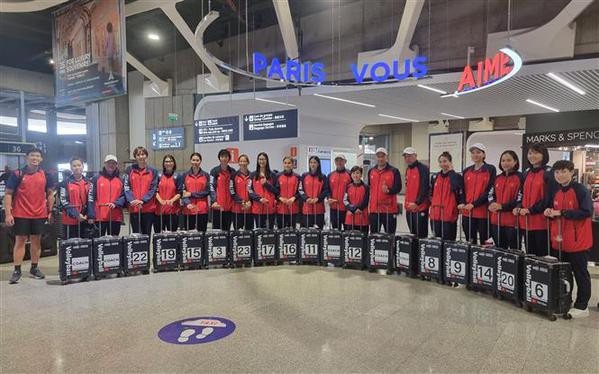 Vietnamitas en Francia alientan a selección nacional de voleibol femenino ảnh 1 Vietnamitas en Francia alientan a selección nacional de voleibol femenino ảnh 1