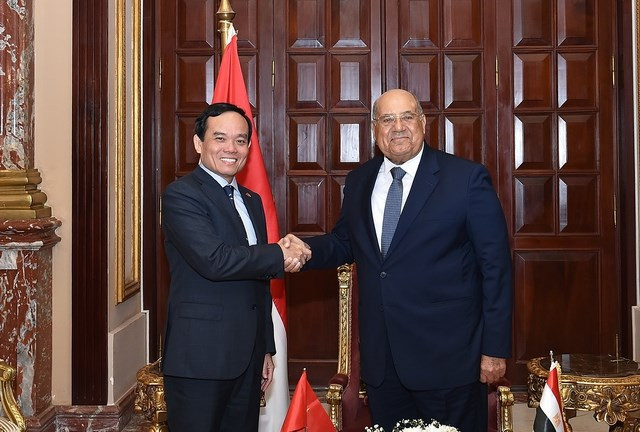 Vicepremier vietnamita se reúne con dirigentes parlamentarios de Egipto ảnh 1 Vicepremier vietnamita se reúne con dirigentes parlamentarios de Egipto ảnh 1
