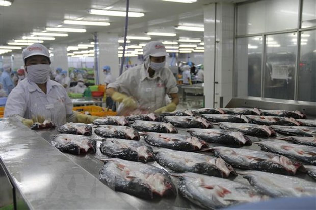 Bancos extranjeros pronostican progreso económico positivo de Vietnam en 2022 ảnh 1 Bancos extranjeros pronostican progreso económico positivo de Vietnam en 2022 ảnh 1