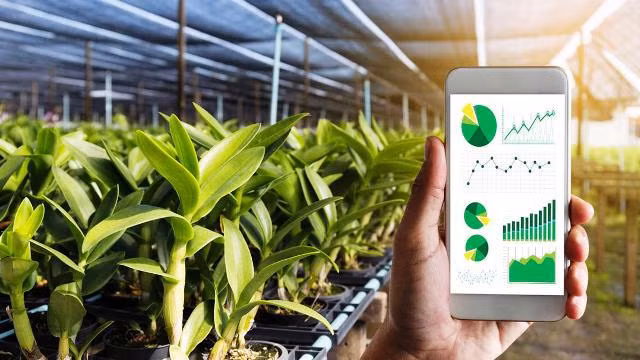 Transformación digital, tendencia inevitable para agricultura de Vietnam ảnh 1 Transformación digital, tendencia inevitable para agricultura de Vietnam ảnh 1