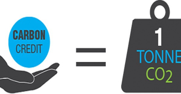 Vietnam pondrá a prueba comercio de bonos de carbono a partir de 2025 ảnh 1 Vietnam pondrá a prueba comercio de bonos de carbono a partir de 2025 ảnh 1