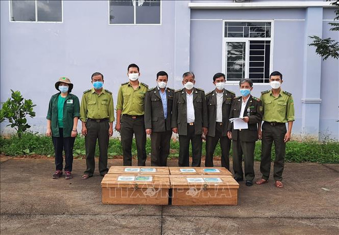 Trabajadores de Parque Nacional de Cuc Phuong rescatan a animales salvajes ảnh 1 Trabajadores de Parque Nacional de Cuc Phuong rescatan a animales salvajes ảnh 1