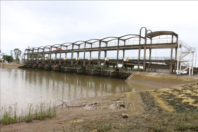 Vietnam y Países Bajos debaten soluciones para intrusión salina en delta de Mekong ảnh 1 Vietnam y Países Bajos debaten soluciones para intrusión salina en delta de Mekong ảnh 1