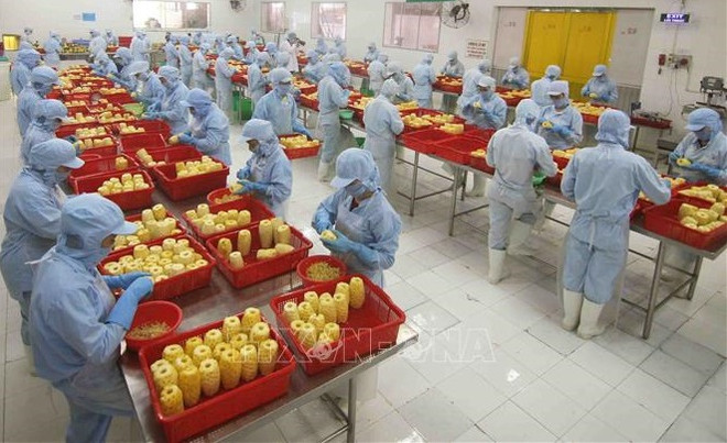 Productos vietnamitas buscan conquistar mercado euroasiático ảnh 2 Productos vietnamitas buscan conquistar mercado euroasiático ảnh 2
