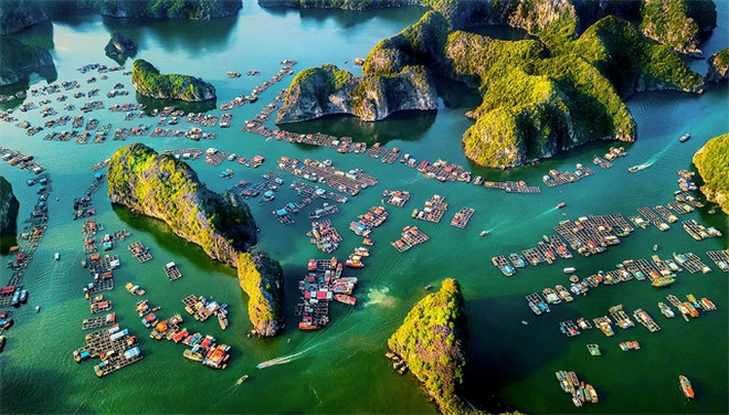Fotógrafo vietnamita conquista medalla dorada en concurso internacional ảnh 1 Fotógrafo vietnamita conquista medalla dorada en concurso internacional ảnh 1