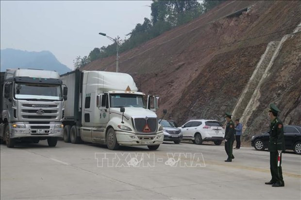 Buscan eliminar congestión de carga en puertas fronterizas de Vietnam ảnh 1