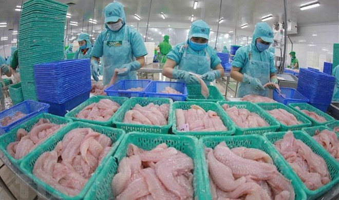 Vietnam podría obtener ingreso multimillonario por exportaciones de pescado Tra en 2022 ảnh 1 Vietnam podría obtener ingreso multimillonario por exportaciones de pescado Tra en 2022 ảnh 1