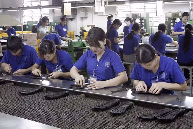 Registra Vietnam este año superávit comercial con Israel ảnh 1 Registra Vietnam este año superávit comercial con Israel ảnh 1