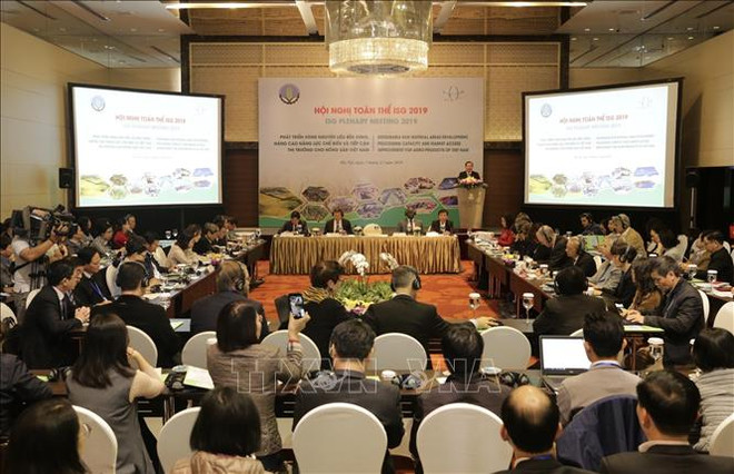 Debaten en Vietnam necesidad de establecer zonas de materias primas para mercado agrícola ảnh 1 Debaten en Vietnam necesidad de establecer zonas de materias primas para mercado agrícola ảnh 1
