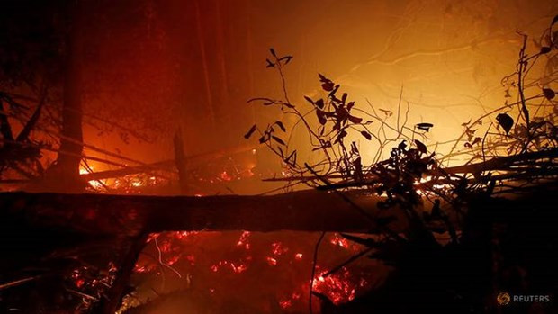 Afectaron los incendios forestales en Indonesia más de 1,6 millones de hectáreas ảnh 1 Afectaron los incendios forestales en Indonesia más de 1,6 millones de hectáreas ảnh 1