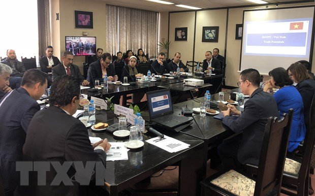Proyectan Vietnam y Egipto fomentar el comercio bilateral ảnh 1 Proyectan Vietnam y Egipto fomentar el comercio bilateral ảnh 1
