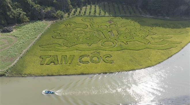 Efectuarán Semana de Turismo de Ninh Binh en Tam Coc-Bich Dong ảnh 1 Efectuarán Semana de Turismo de Ninh Binh en Tam Coc-Bich Dong ảnh 1