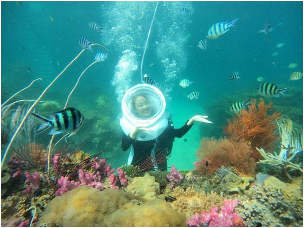 Phu Quoc, un nuevo destino global ảnh 1 Phu Quoc, un nuevo destino global ảnh 1