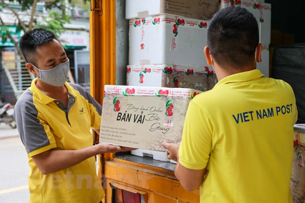 Impulsan venta de lichi en plataforma de e-comercio de Vietnam ảnh 3 Impulsan venta de lichi en plataforma de e-comercio de Vietnam ảnh 3