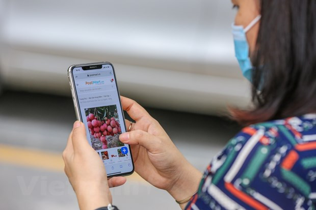 Impulsan venta de lichi en plataforma de e-comercio de Vietnam ảnh 2 Impulsan venta de lichi en plataforma de e-comercio de Vietnam ảnh 2