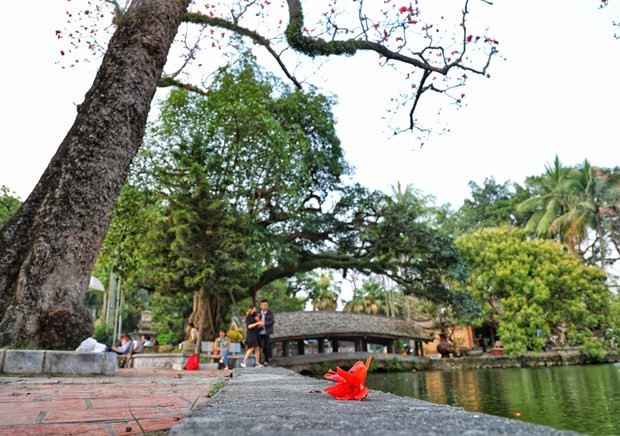 Adoptan planes para estimular recuperación de turismo vietnamita ảnh 2 Adoptan planes para estimular recuperación de turismo vietnamita ảnh 2