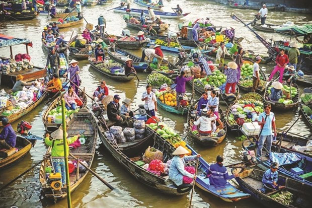 Provincia vietnamita de Can Tho promueve turismo verde en mercado flotante de Cai Rang ảnh 1