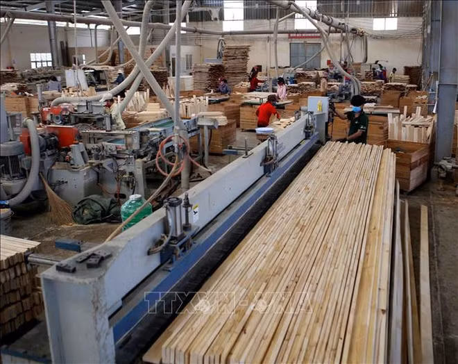Vietnam: segundo exportador mundial de madera ảnh 1