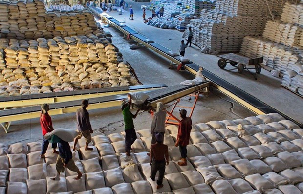 Vietnam exporta 638 mil toneladas de arroz al extranjero en primer bimestre ảnh 1 Vietnam exporta 638 mil toneladas de arroz al extranjero en primer bimestre ảnh 1