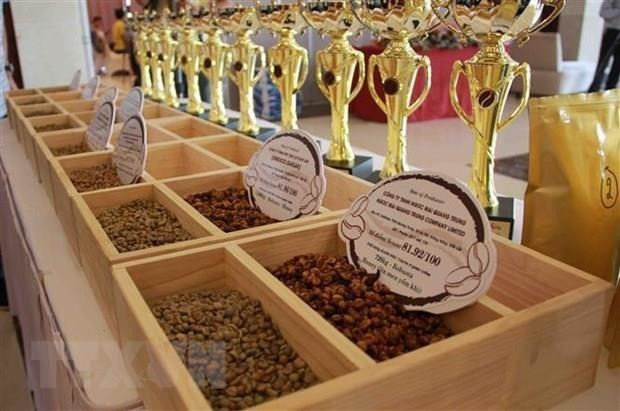 Promueven inversión e intercambio comercial entre Argelia, Senegal y Vietnam ảnh 1