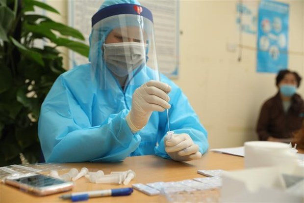 Vietnam registra 15 nuevos casos de COVID-19 ảnh 1