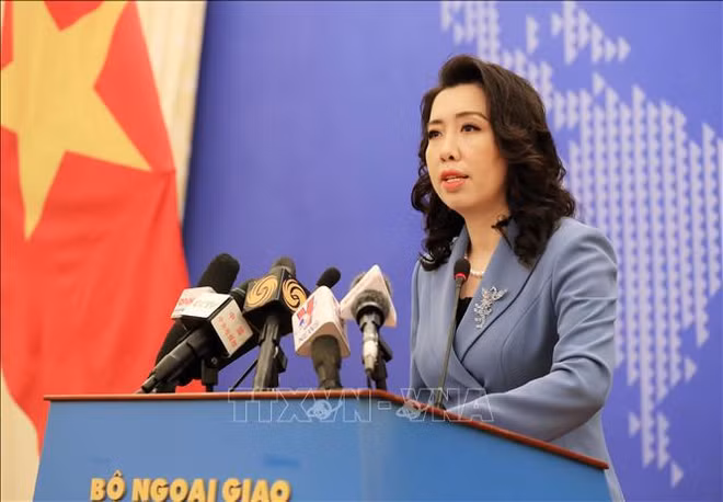 Vietnam aclara postura sobre asuntos internacionales ảnh 1