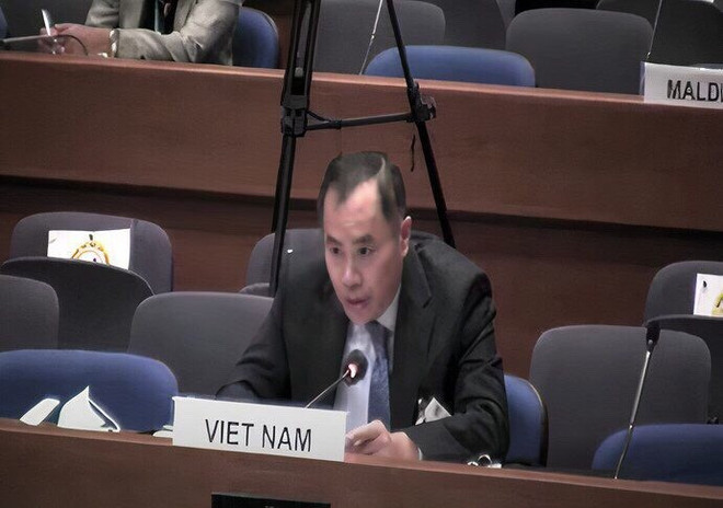 Vietnam propone soluciones para aliviar impacto del COVID-19 en migrantes ảnh 1 Vietnam propone soluciones para aliviar impacto del COVID-19 en migrantes ảnh 1