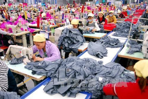 El 90 por ciento de empresas en Vietnam golpeadas por la pandemia, señala informe ảnh 2 El 90 por ciento de empresas en Vietnam golpeadas por la pandemia, señala informe ảnh 2