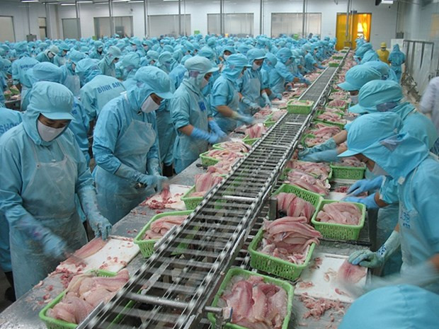 Vietnam por ingresar en 2045 al top 3 mundial de exportadores de productos acuícolas ảnh 1 Vietnam por ingresar en 2045 al top 3 mundial de exportadores de productos acuícolas ảnh 1