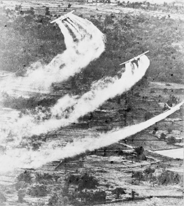 60 años de desastre del Agente Naranja en Vietnam: Unir esfuerzos para aliviar el dolor ảnh 2 60 años de desastre del Agente Naranja en Vietnam: Unir esfuerzos para aliviar el dolor ảnh 2