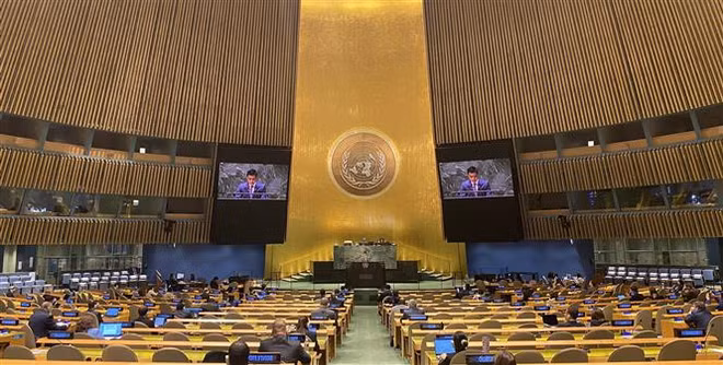 Vietnam contribuye activamente a actividades del OIEA ảnh 1