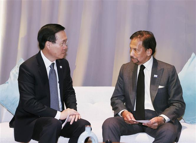 Presidente vietnamita se reúne con dirigentes de Canadá y Brunei ảnh 2 Presidente vietnamita se reúne con dirigentes de Canadá y Brunei ảnh 2